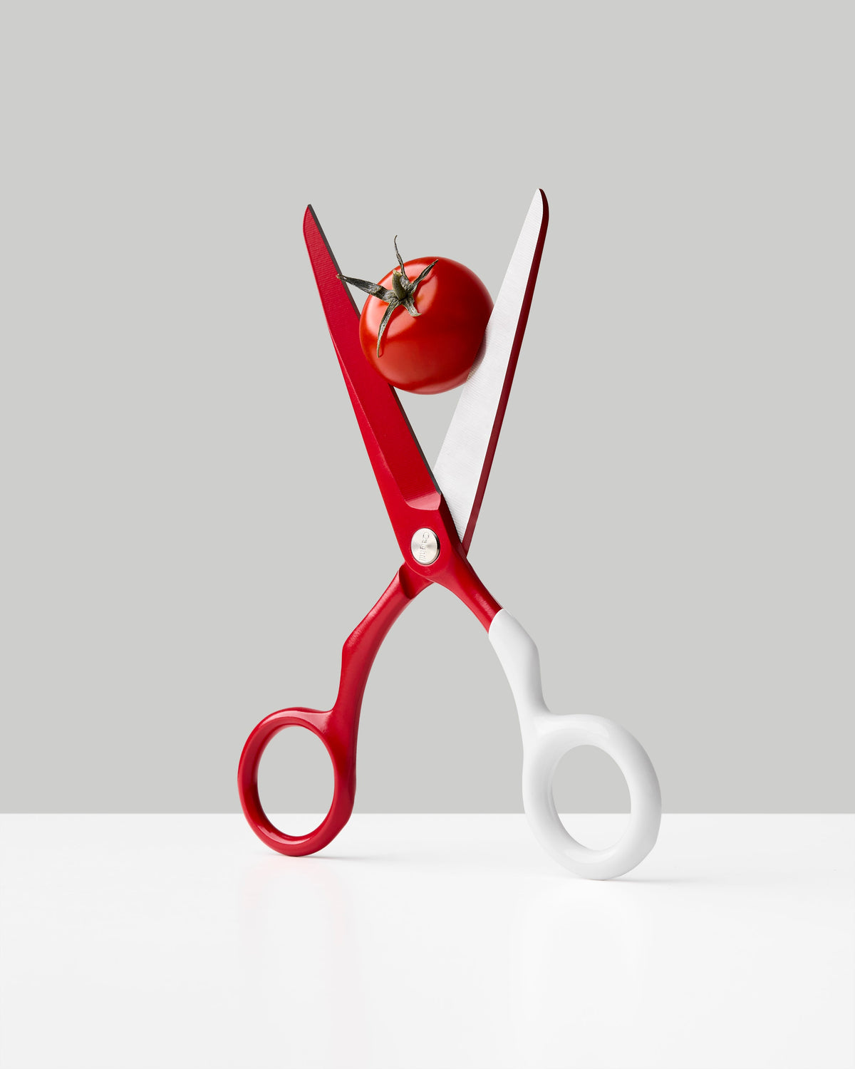 Spectra Scissors